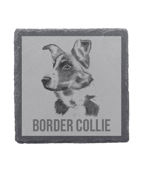 Border Collie Coaster